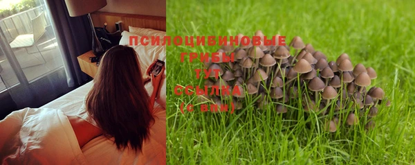 MESCALINE Баксан