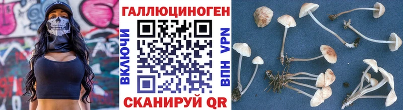 закладка  Озёры  Псилоцибиновые грибы прущие грибы 